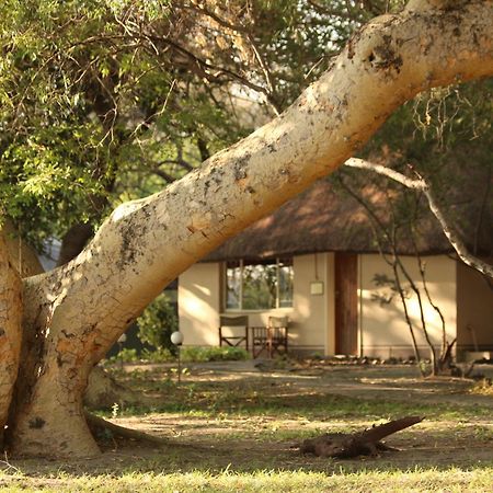 Island Safari Lodge Maun Extérieur photo