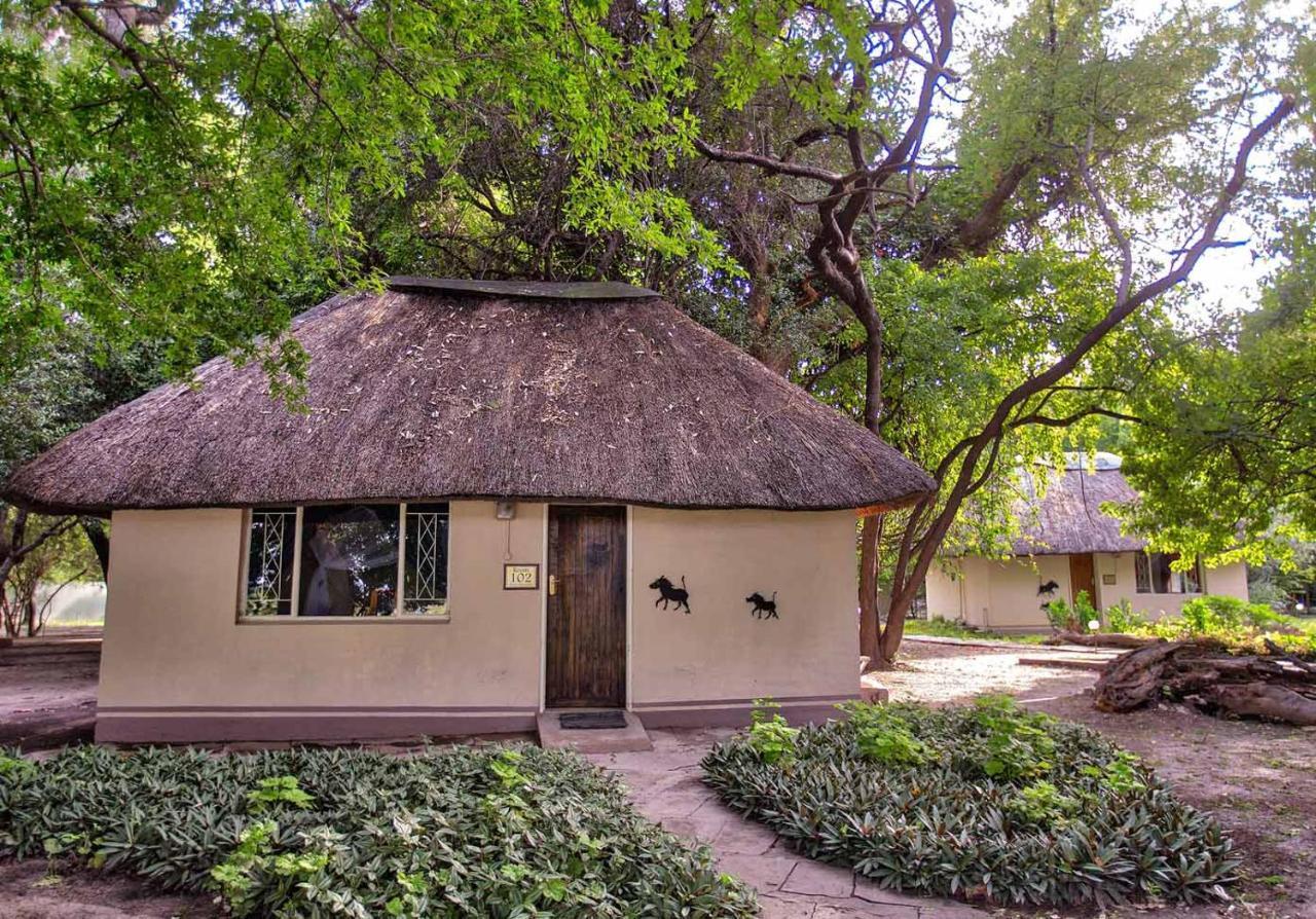 Island Safari Lodge Maun Extérieur photo